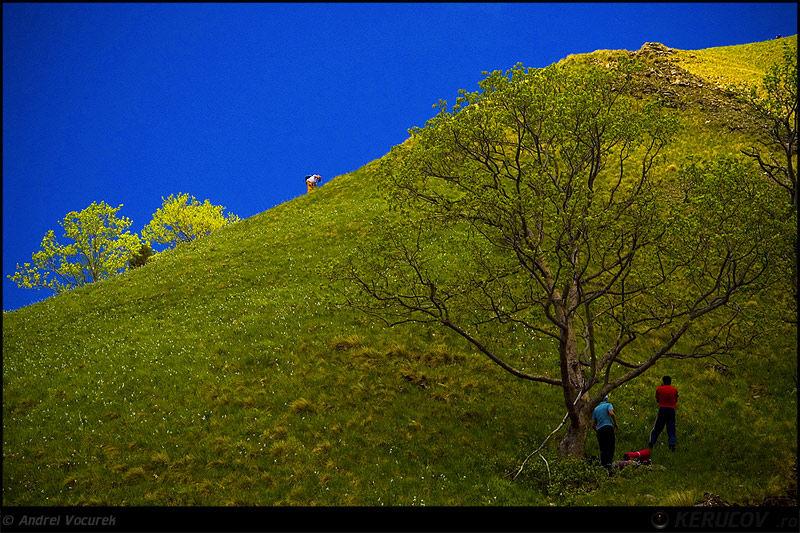 andrei_vocurek_kerucov_poiana_narciselor_05