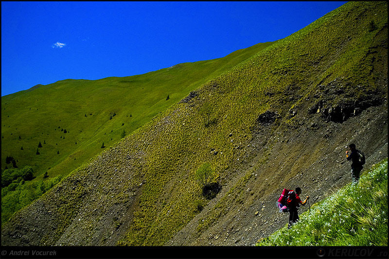 andrei_vocurek_kerucov_poiana_narciselor_09