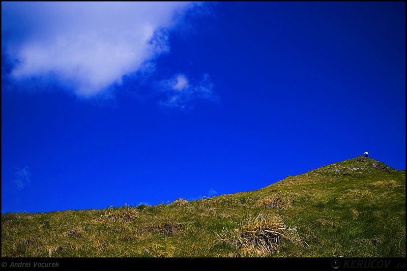 andrei_vocurek_kerucov_poiana_narciselor_12