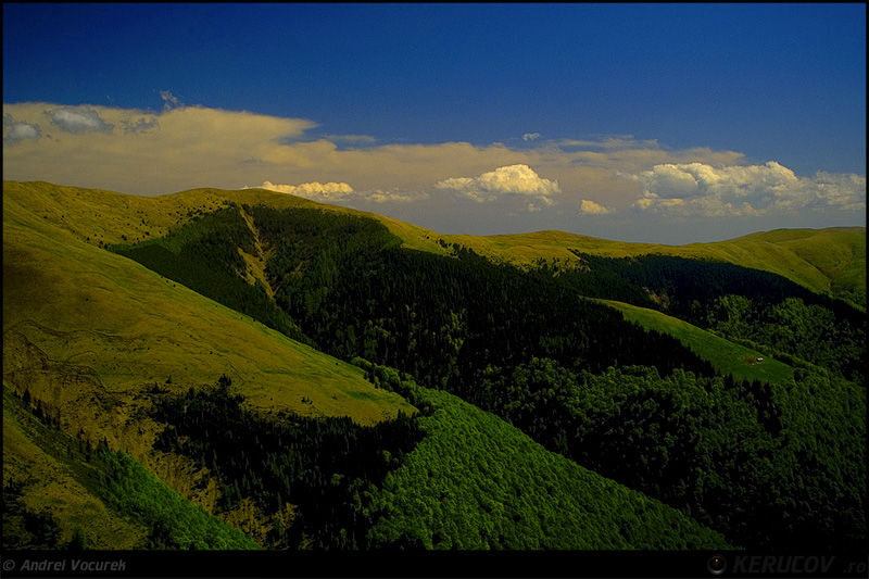 andrei_vocurek_kerucov_poiana_narciselor_13