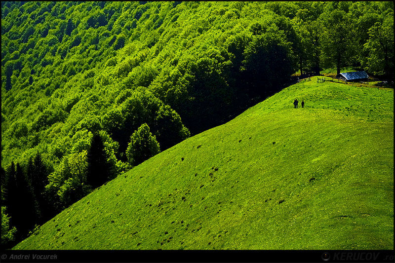 andrei_vocurek_kerucov_poiana_narciselor_15