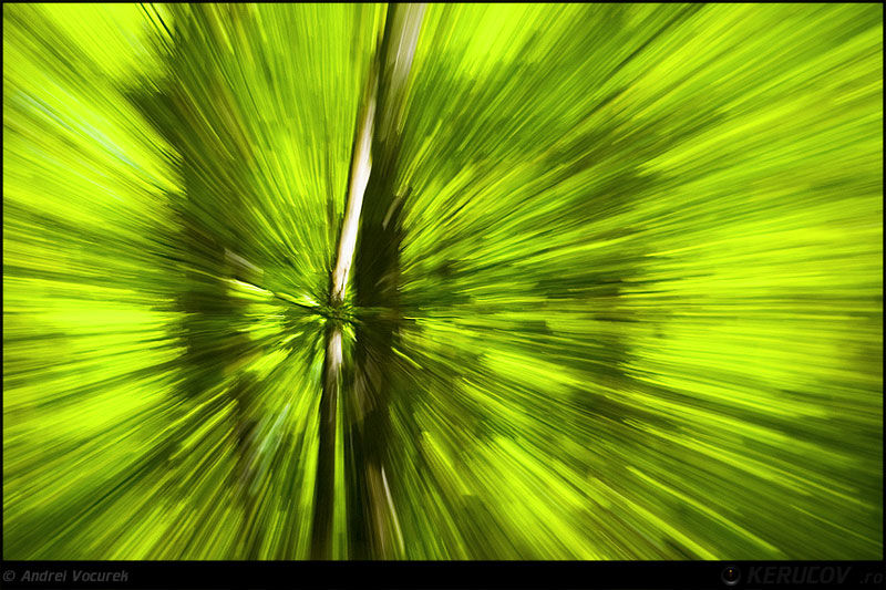 andrei_vocurek_kerucov_poiana_narciselor_18