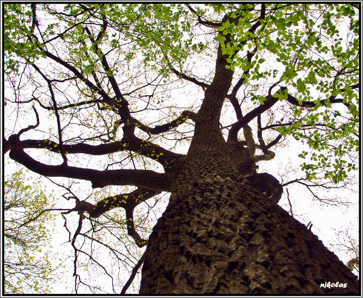 4549492655_63a1699095_b