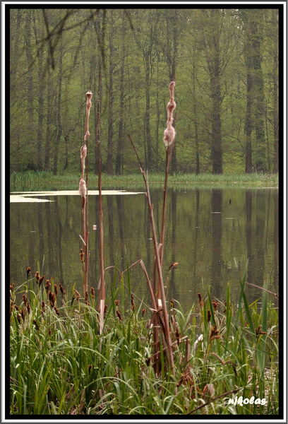 4549492683_61b867cf4a_b2