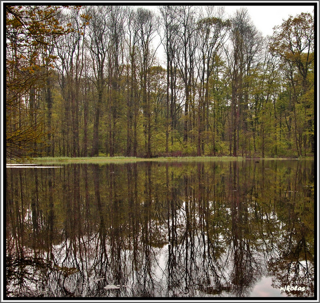 4549511927_06b2710f81_b