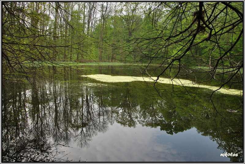 4549511933_16ed463b2c_b