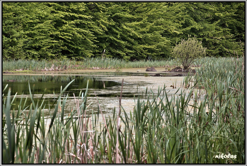 4549511949_a2368ca5f9_b