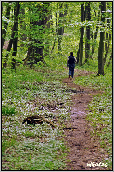 4549511995_a688fda212_b