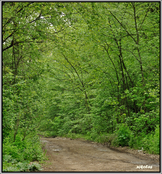 4549533111_c06c307f9a_b