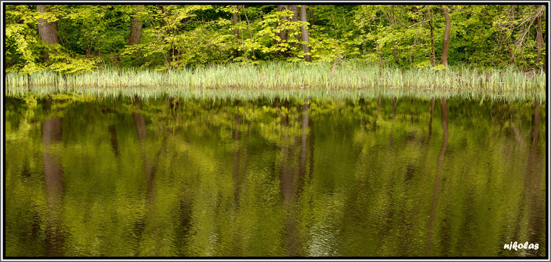 4549533157_0dd092e29d_b