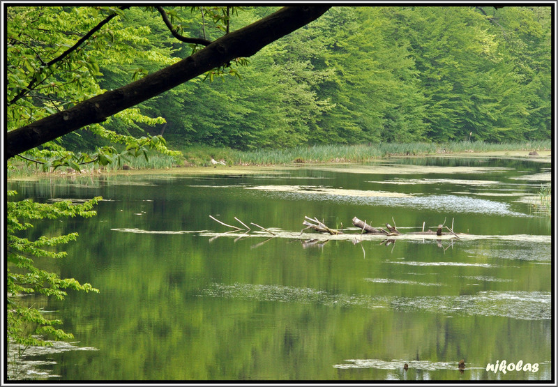 4549533163_8f219f0523_b