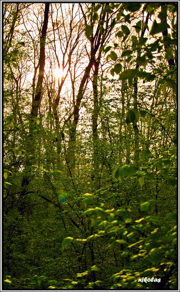 4550088684_1af16b29ec_b