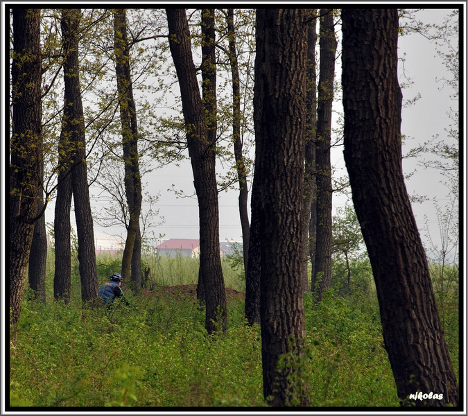 4550088704_87f18196ce_b