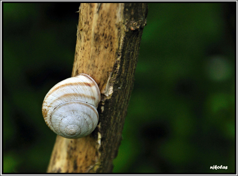 4550088712_7ebb989b9d_b