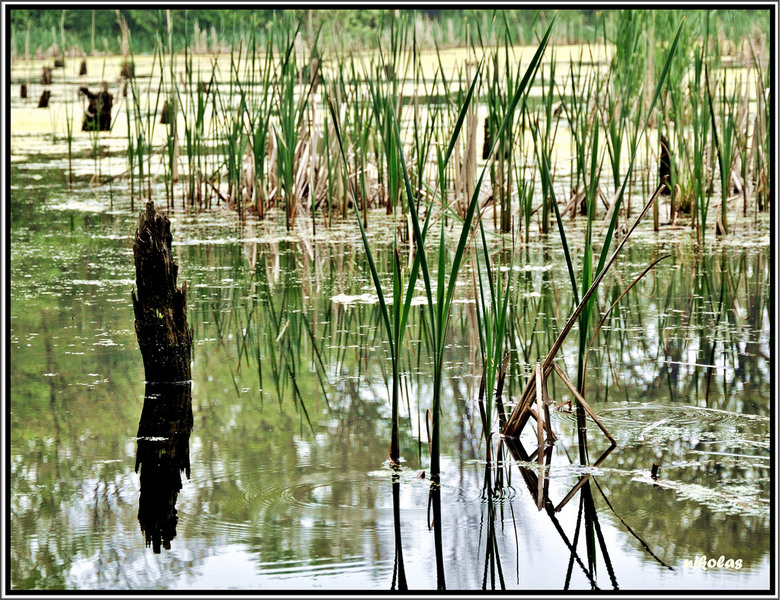 4550106014_a049192437_b