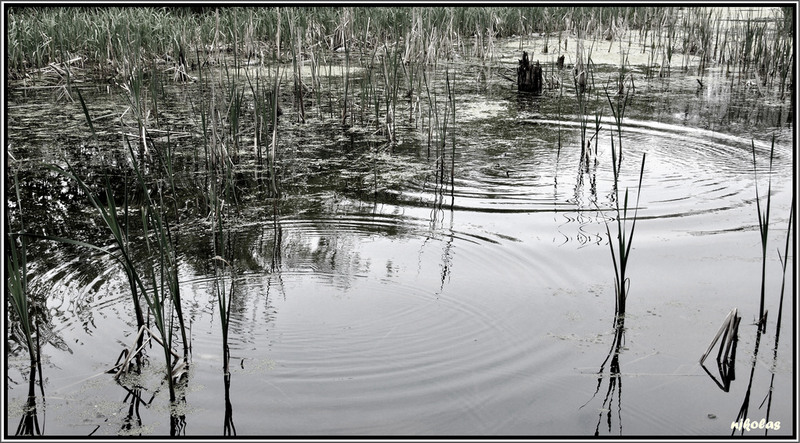 4550106024_8951bcb7dc_b