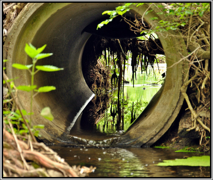 4550106030_5eed1f745f_b