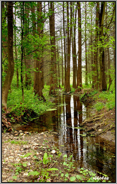 4550106036_f02e6fb222_b