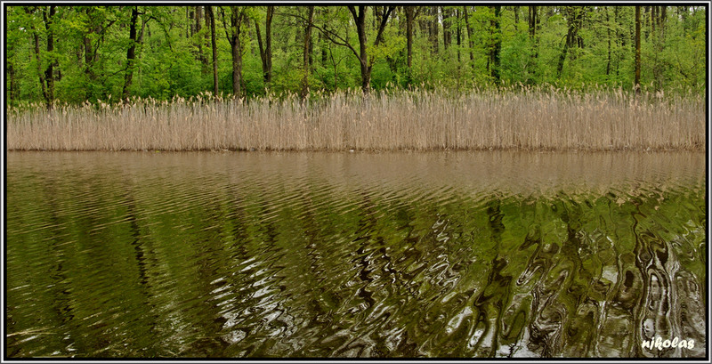 4550210574_d57ff377af_b2