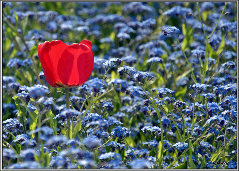 4550384592_4526e35326_b