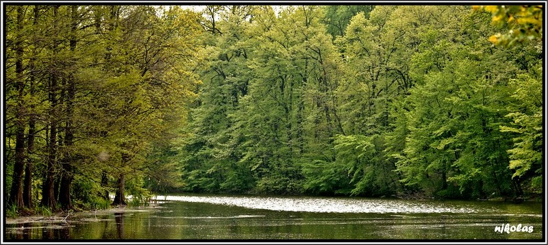 4550487144_696d49980e_o