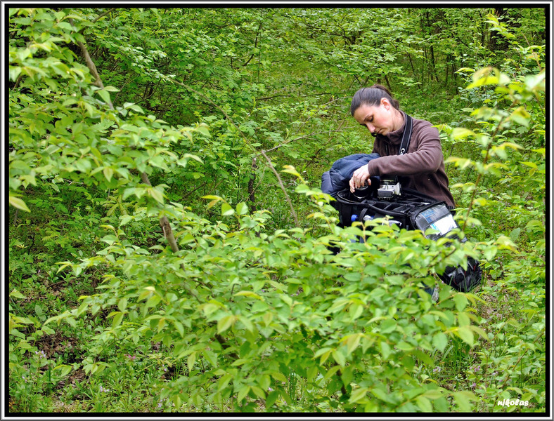 4550088696_60659023a7_b