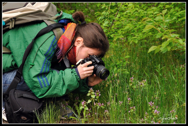 4550315142_d3725ae81e_b