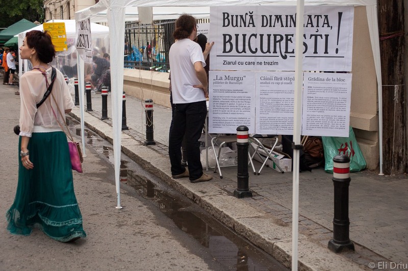 1008379_10201250891215940_866097206_o