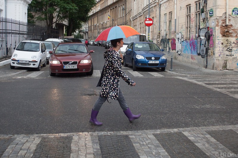 1008462_10201250864615275_1860845521_o