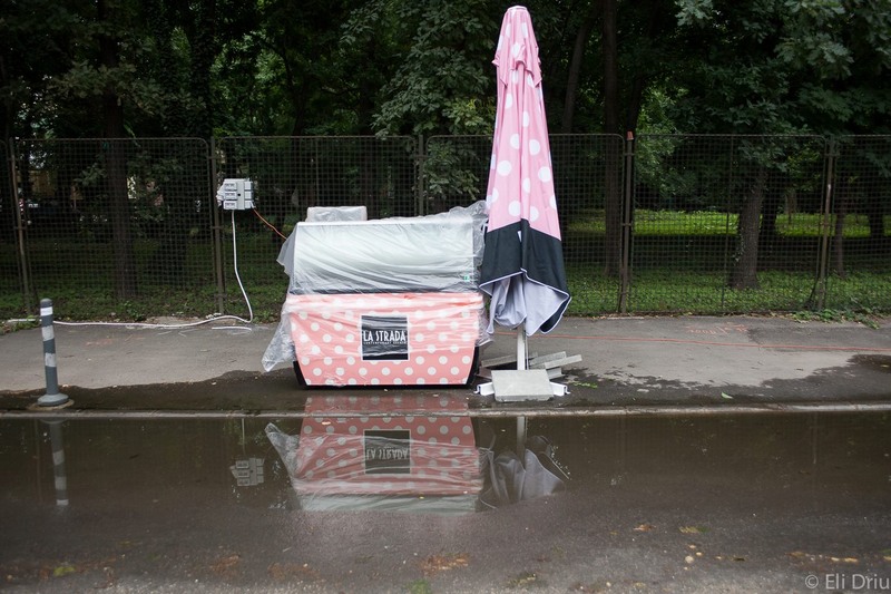 1015067_10201250866215315_893834429_o