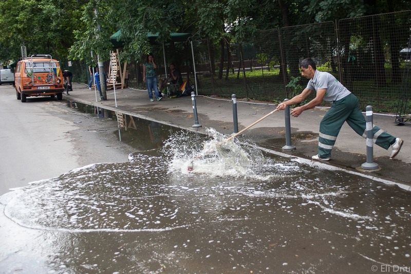 1015243_10201250869495397_1093224505_o