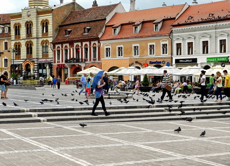 Brasov