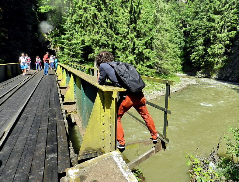 La panda-1 si restul