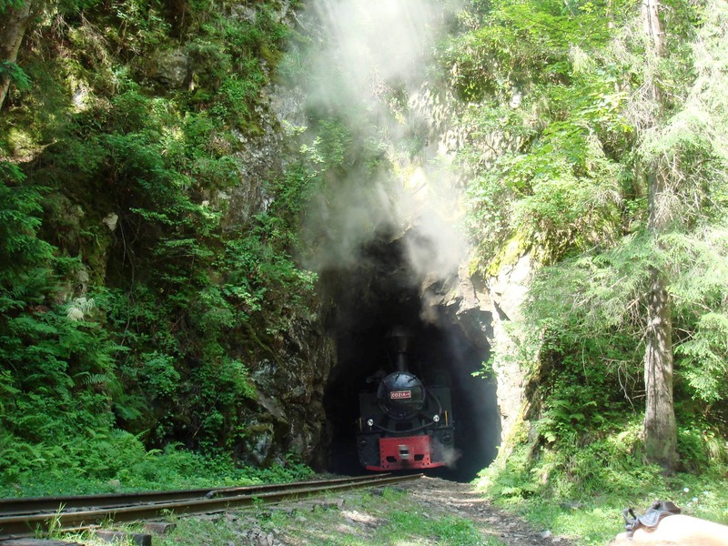 1039955_601353749904297_1362071564_o