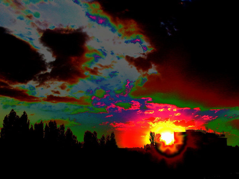 dsc01438_apus-de-soare