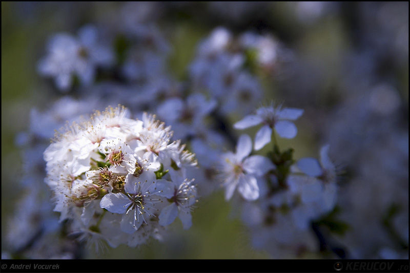 andrei_vocurek_kerucov_orasul_ro_aviatiei_baneasa_15