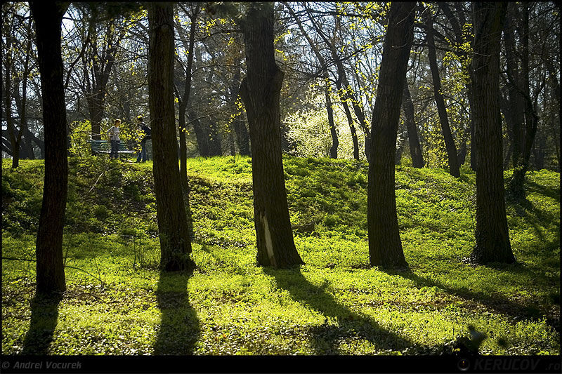 andrei_vocurek_kerucov_orasul_ro_aviatiei_baneasa_16