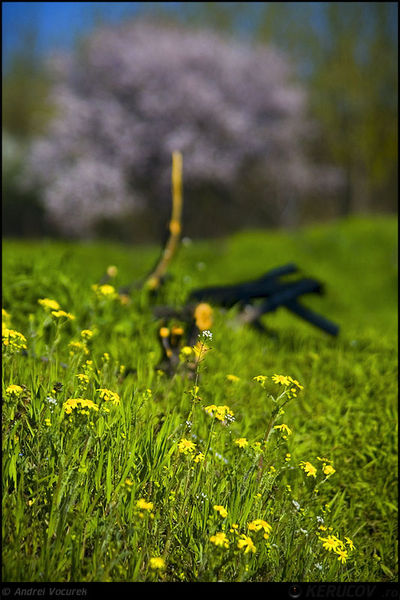 andrei_vocurek_kerucov_orasul_ro_aviatiei_baneasa_20