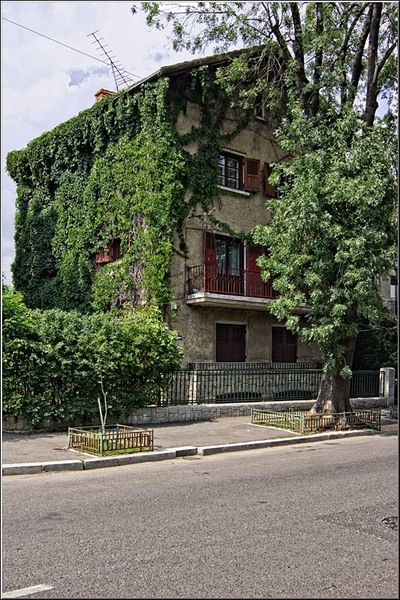 serban_vornicu-gazarului_01