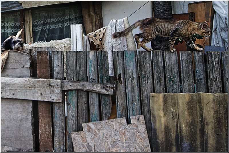 serban_vornicu-gazarului_15