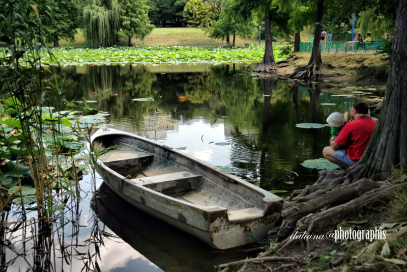 lac-in-parcul-circului