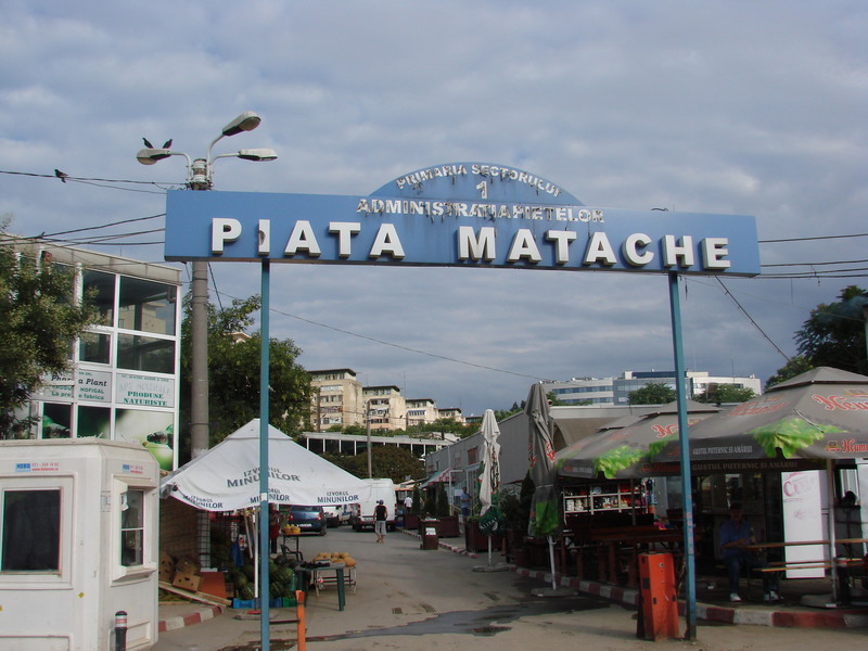 dsc05791_alta intrare pta.matache