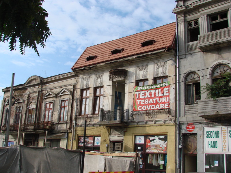 dsc05840_colt cal grivitei