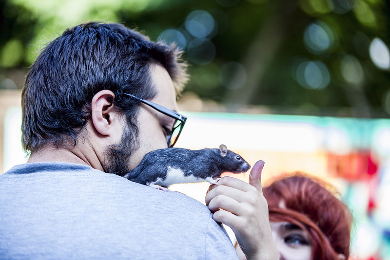 monica-marcov-street-delivery-10