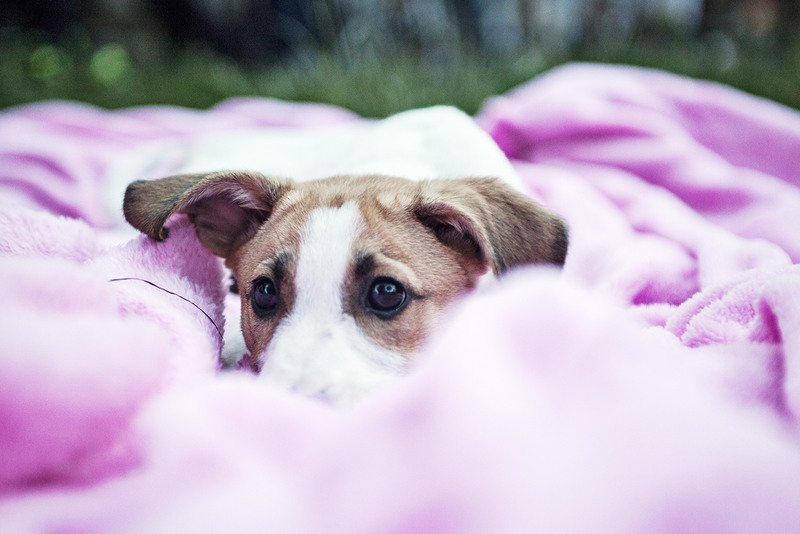 monica-marcov-street-delivery-13