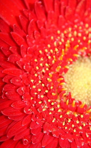 9328622026_58830400e0_o