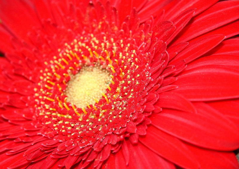 9328622054_9883a3dd41_b