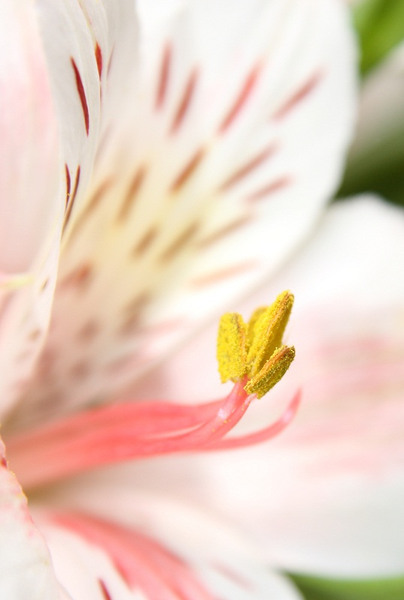 9328622102_69c4de74d1_c