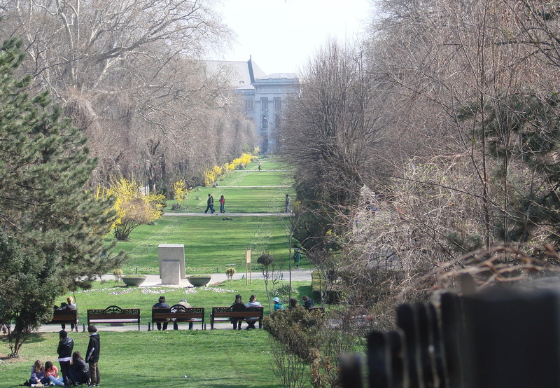 dsc02434_vedere-de-pe-cetate