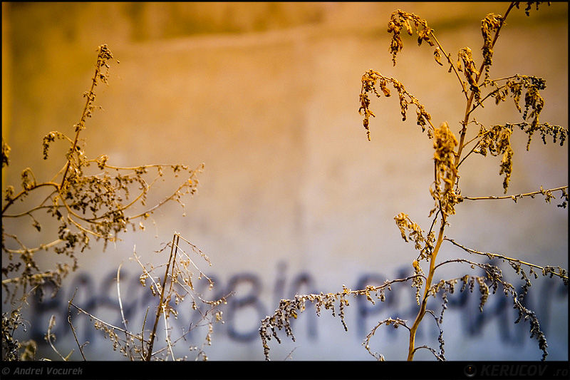 andrei_vocurek_kerucov_orasul_ro_buzesti_grivitei_07